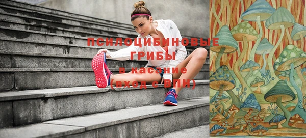 гидропоника Покачи