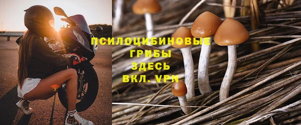 PSILOCYBIN Покров