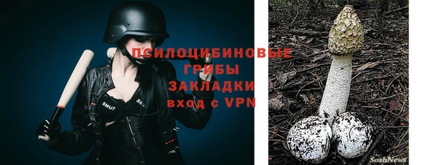 гидропоника Покачи